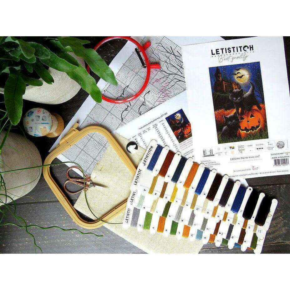 Counted Cross Stitch Kit Did we scare you? Leti964