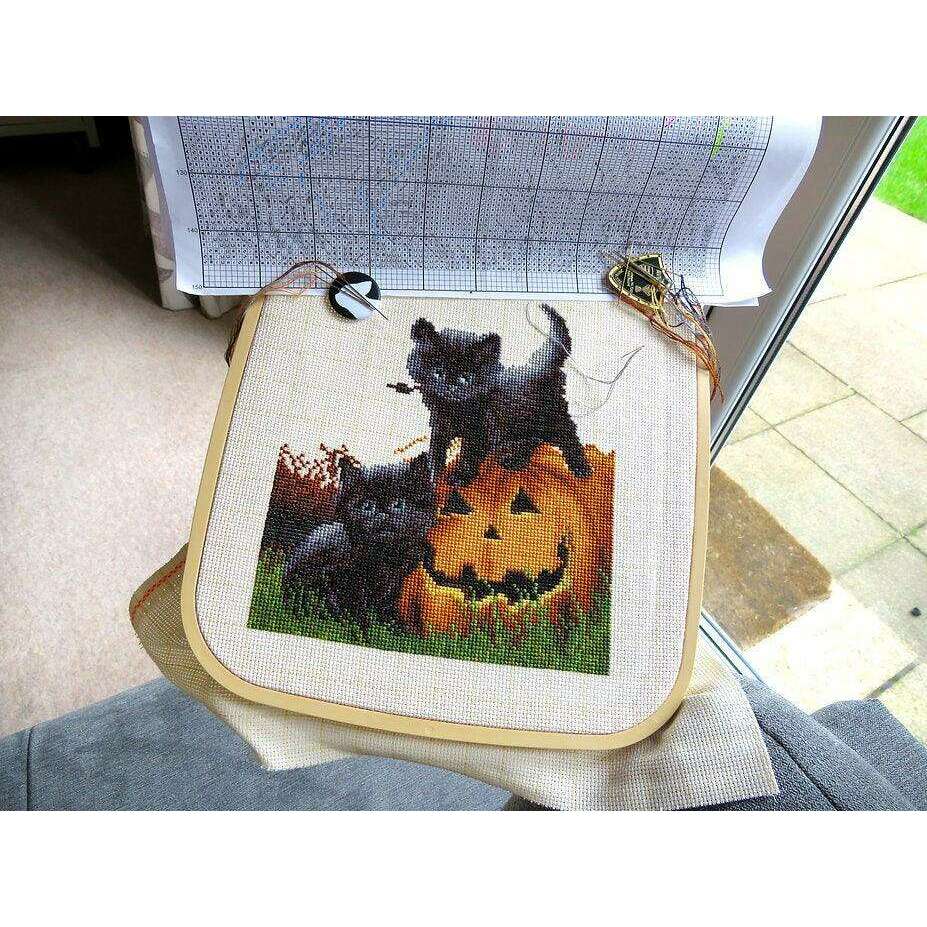 Counted Cross Stitch Kit Did we scare you? Leti964