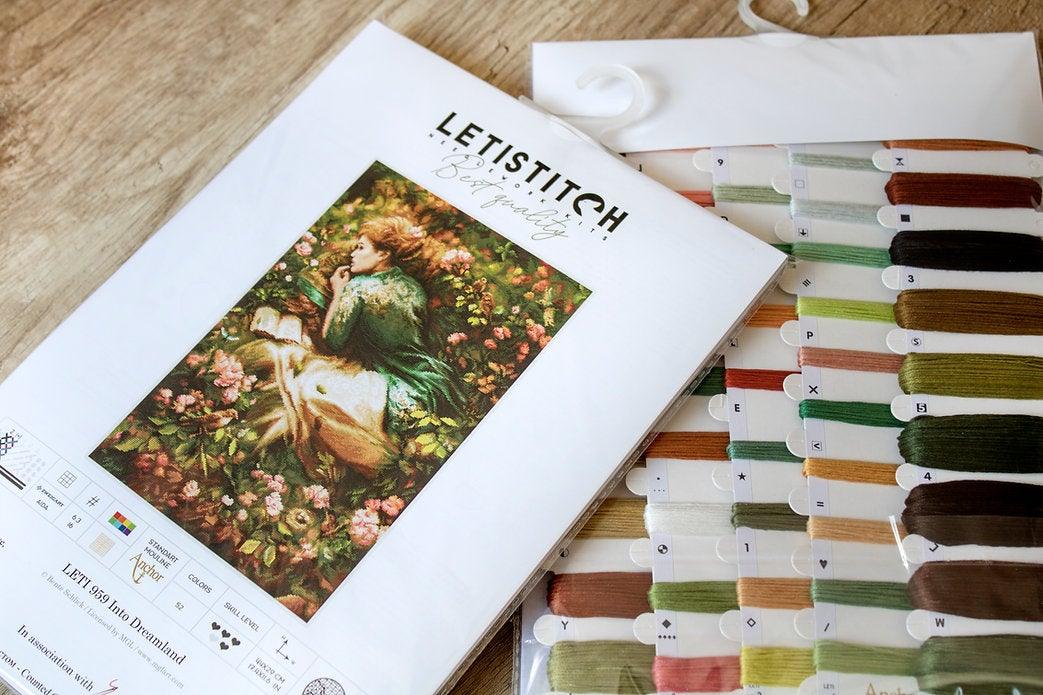 Counted Cross Stitch Kit Into Dreamland Leti959