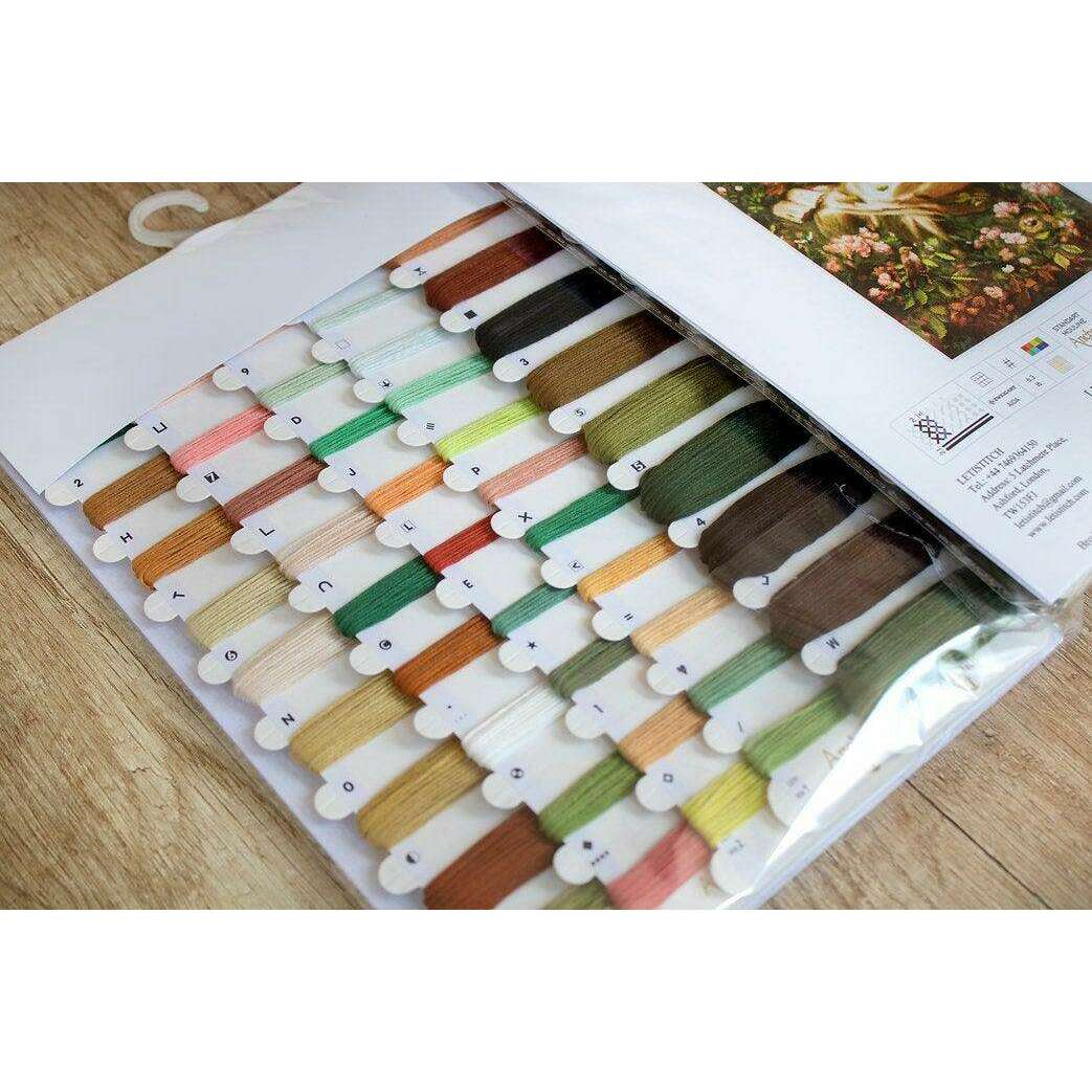 Counted Cross Stitch Kit Into Dreamland Leti959