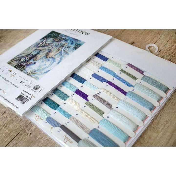 Counted Cross Stitch Kit Together We Are Magic Leti950