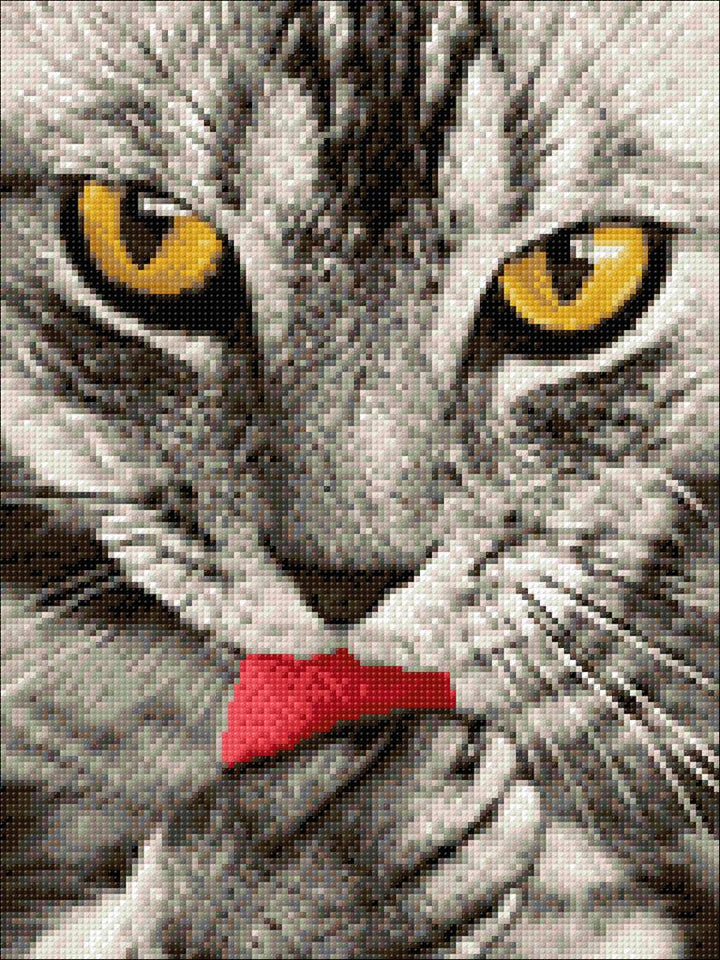 Crafting Spark Diamond Painting Kit Kitten CS2533 7.87 x 11.81 inches