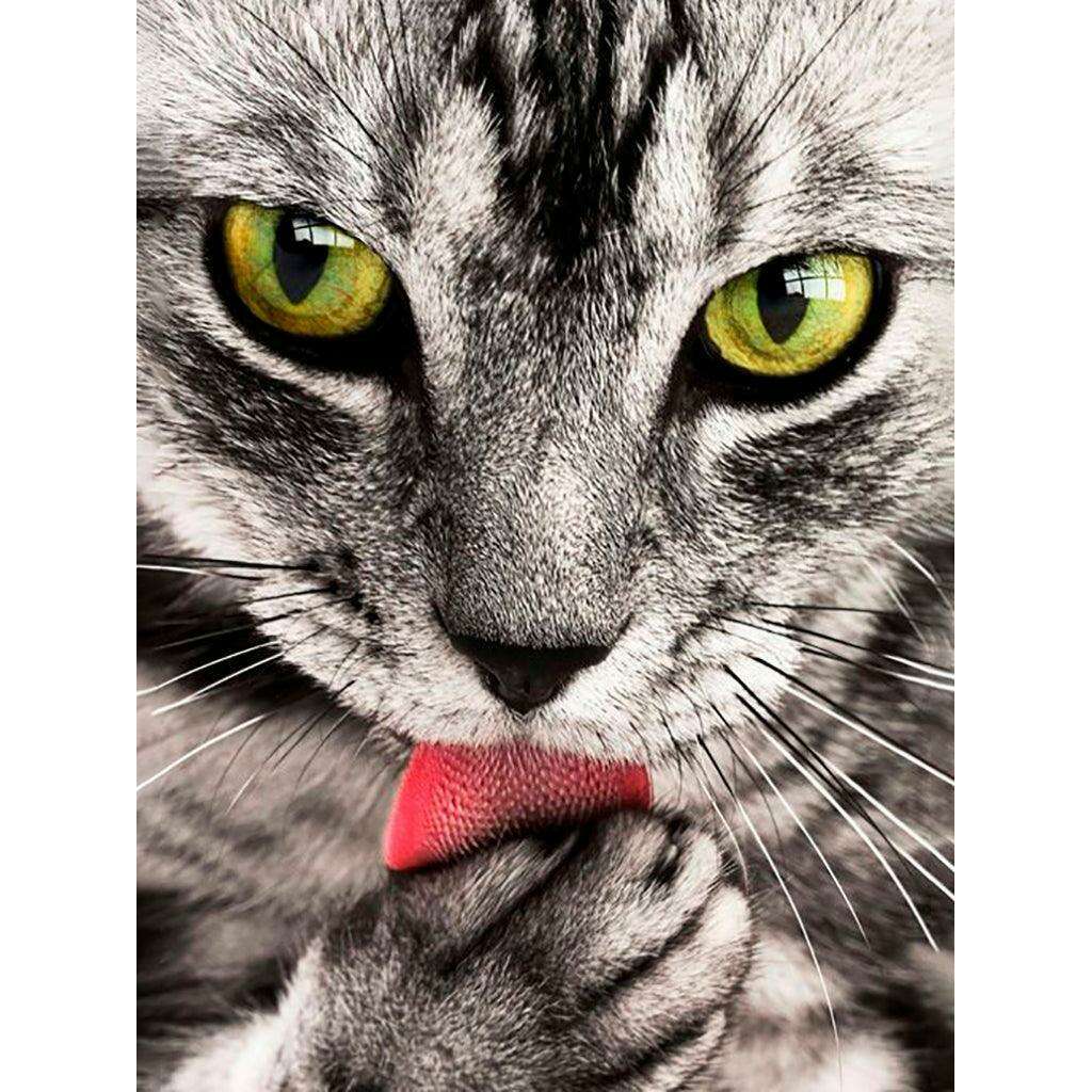 Crafting Spark Diamond Painting Kit Kitten CS2533 7.87 x 11.81 inches