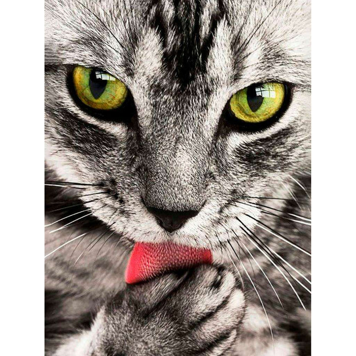 Crafting Spark Diamond Painting Kit Kitten CS2533 7.87 x 11.81 inches