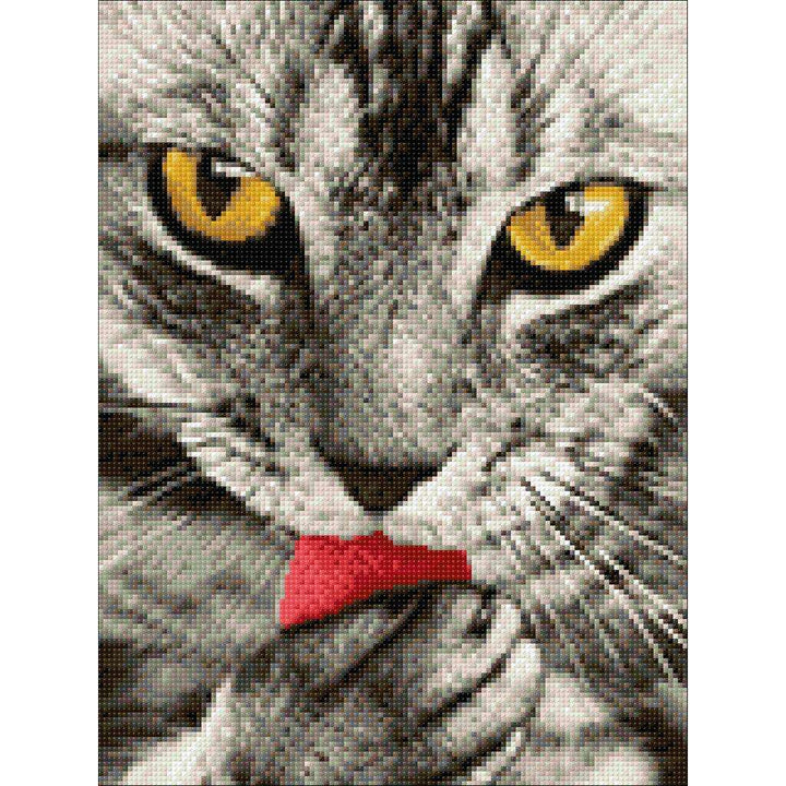 Crafting Spark Diamond Painting Kit Kitten CS2533 7.87 x 11.81 inches