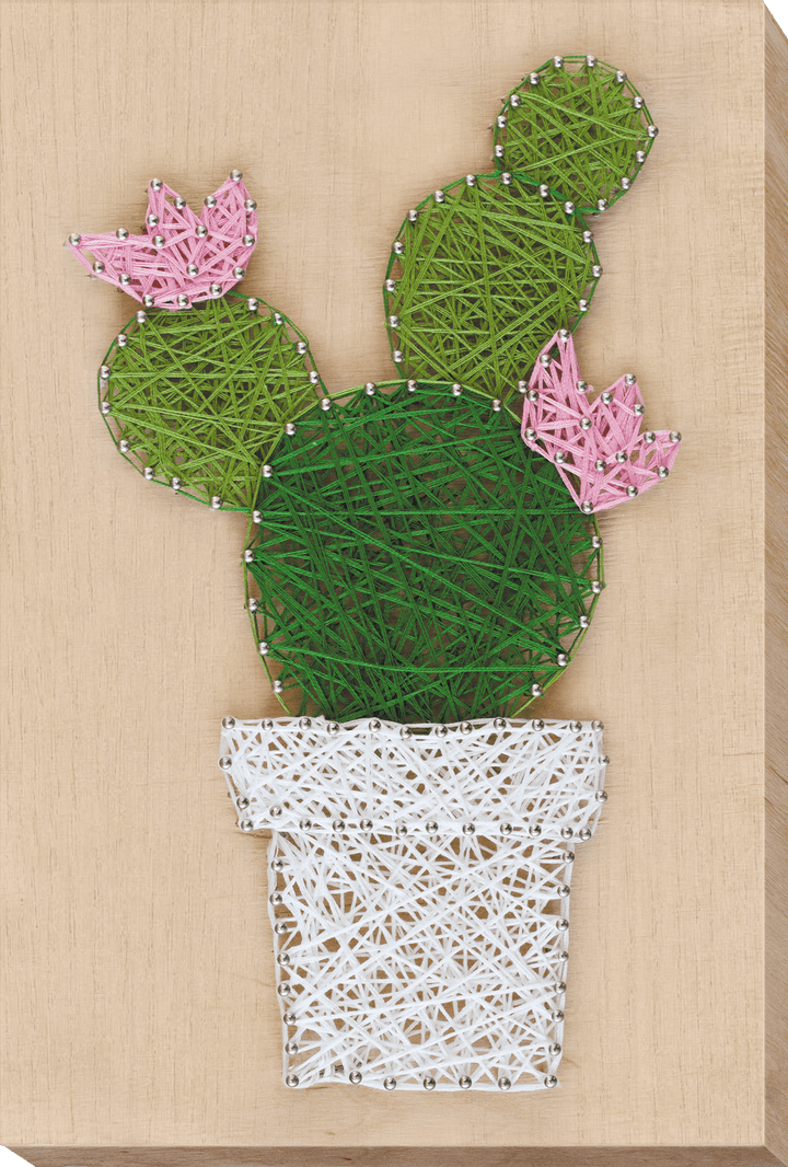 Creative Kit/String Art Cactus ABC-002