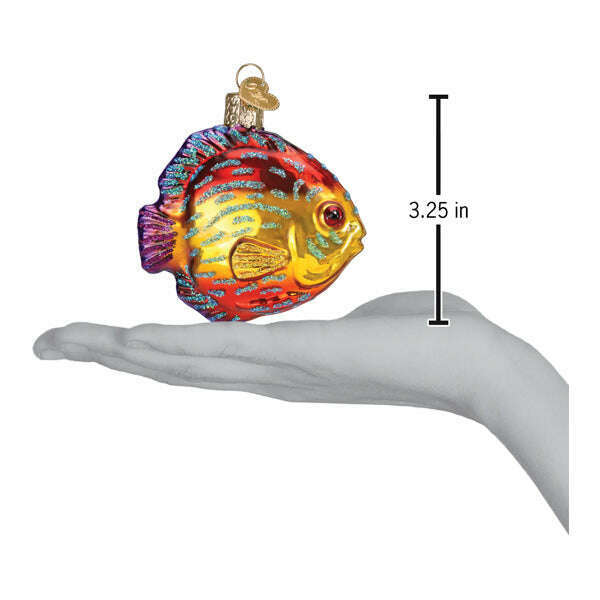 Old World Christmas Discus Fish Blown Glass Ornament