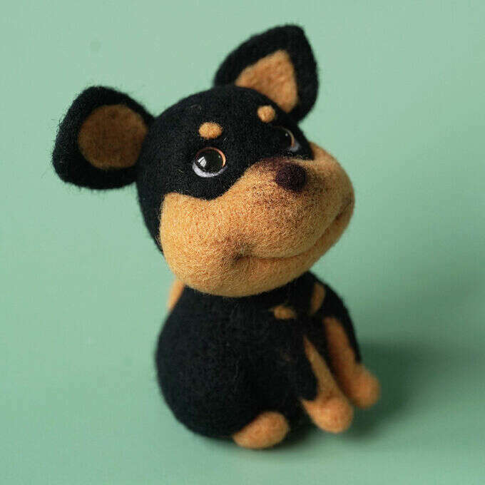 Dog Needle Felting Kit. Wizardi DIY Wool Craft Kit F07N8-W417
