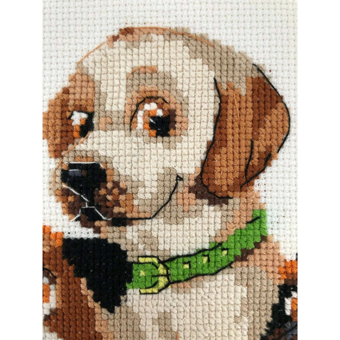 Dog Show R1923 Counted Cross Stitch Kit