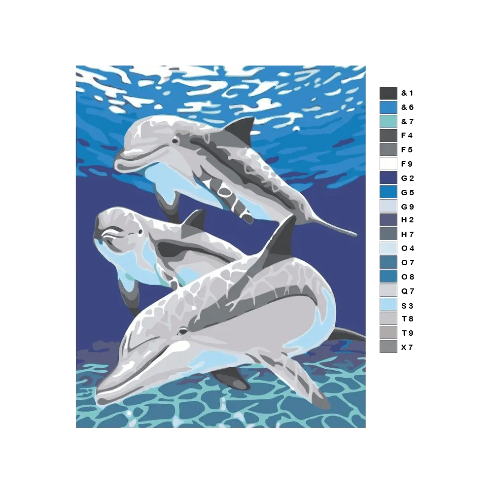 Dolphin Paint by Numbers Kit F07M1-6-Dolphin