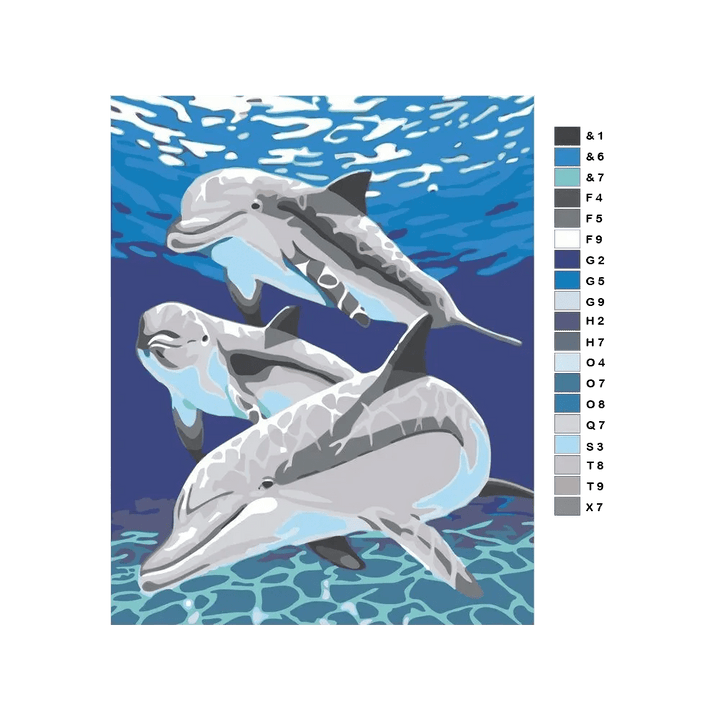 Dolphin Paint by Numbers Kit F07M1-6-Dolphin