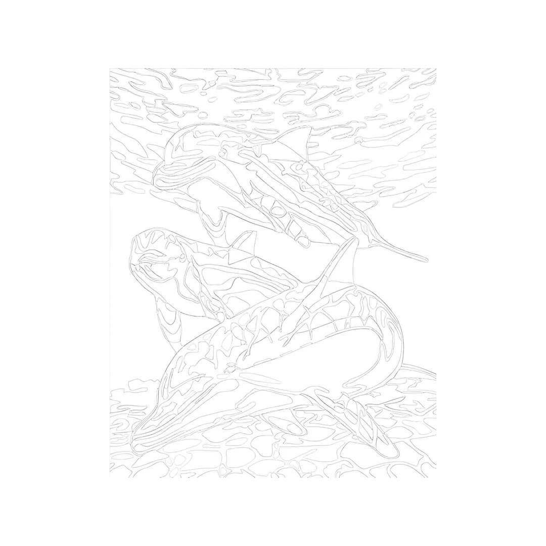 Dolphin Paint by Numbers Kit F07M1-6-Dolphin
