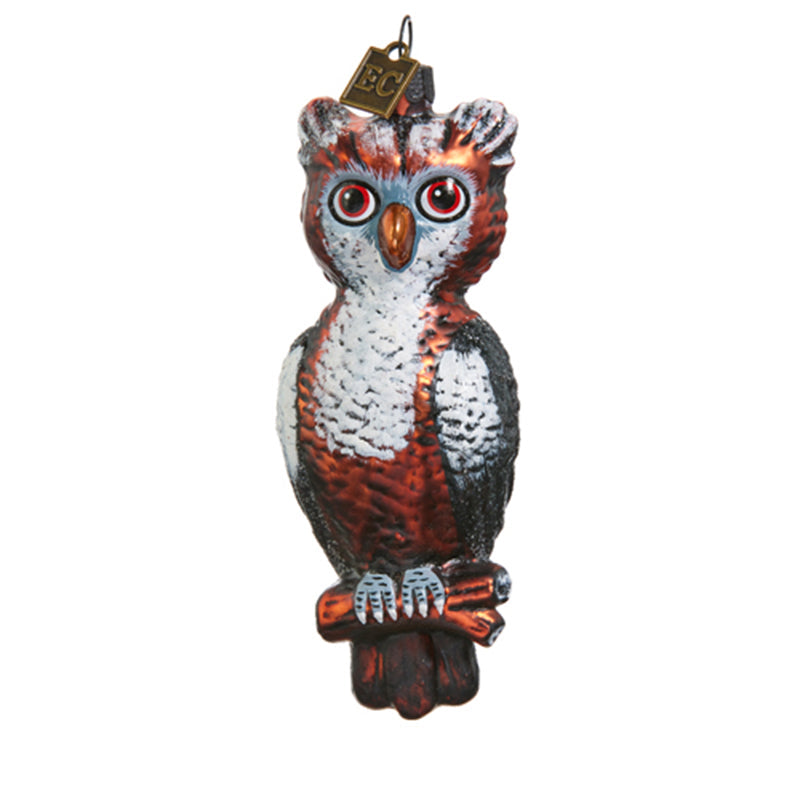 Ec 4.75" Give A Hoot Ornament by Raz Imports 