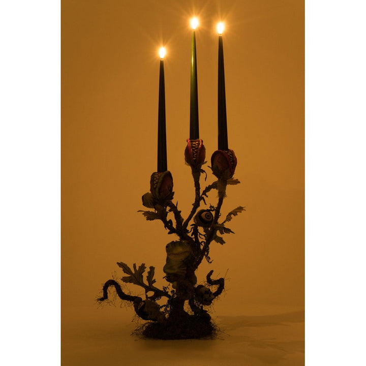 Enchanted Plant Candelabra by Katherine's Collection  5