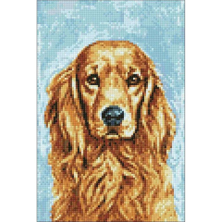 Faithful Dog CS180 7.9 x 11.8 inches Wizardi Diamond Painting Kit