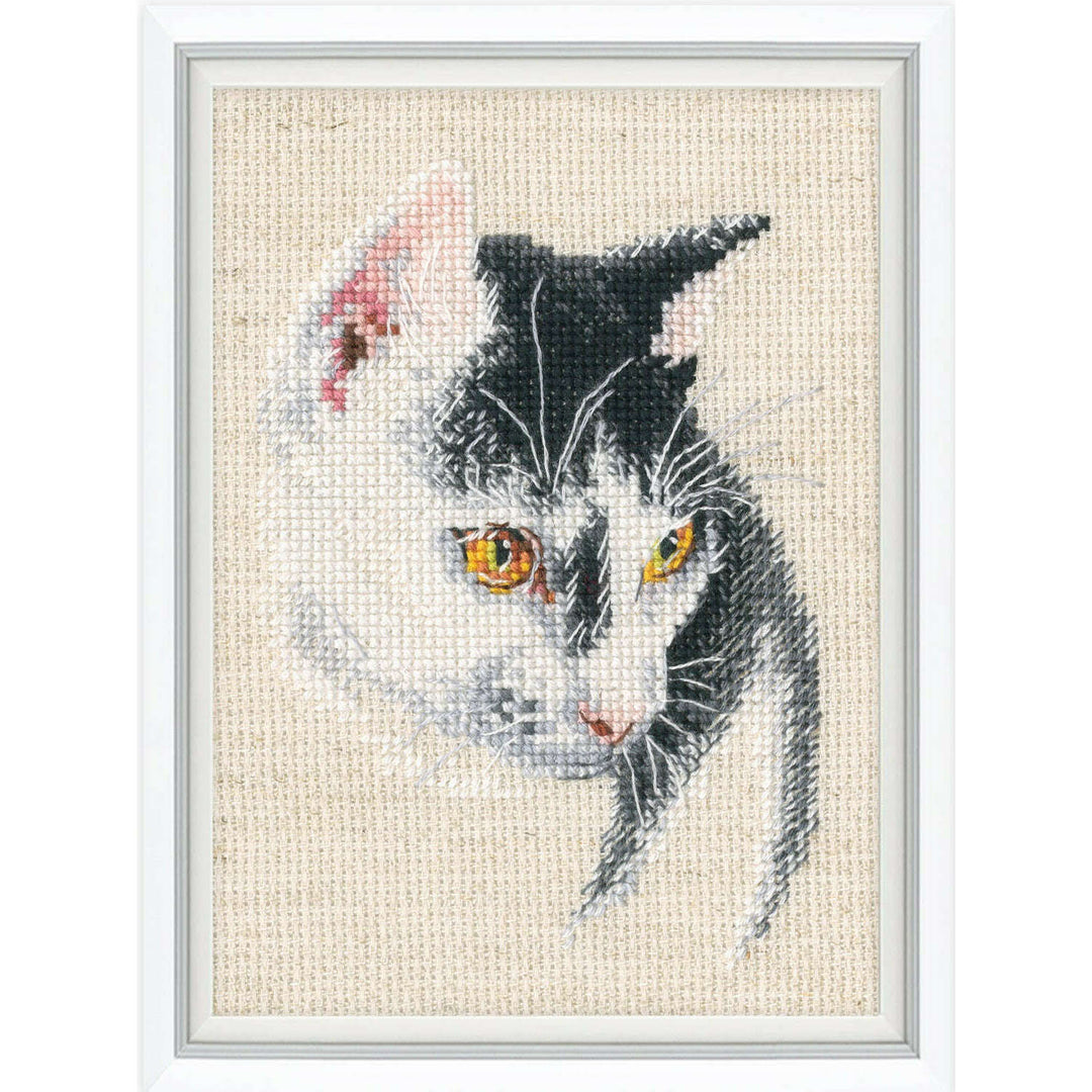 Fascinating C423 Counted Cross Stitch Kit