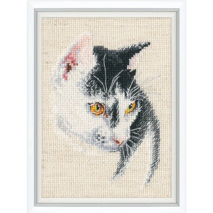 Fascinating C423 Counted Cross Stitch Kit