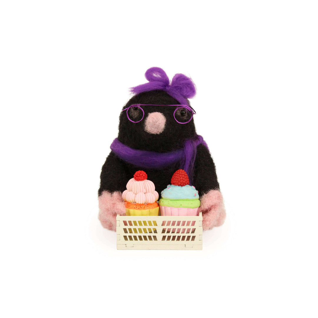 Felting Kit - Busy Mrs Mole Needle Felt Kit