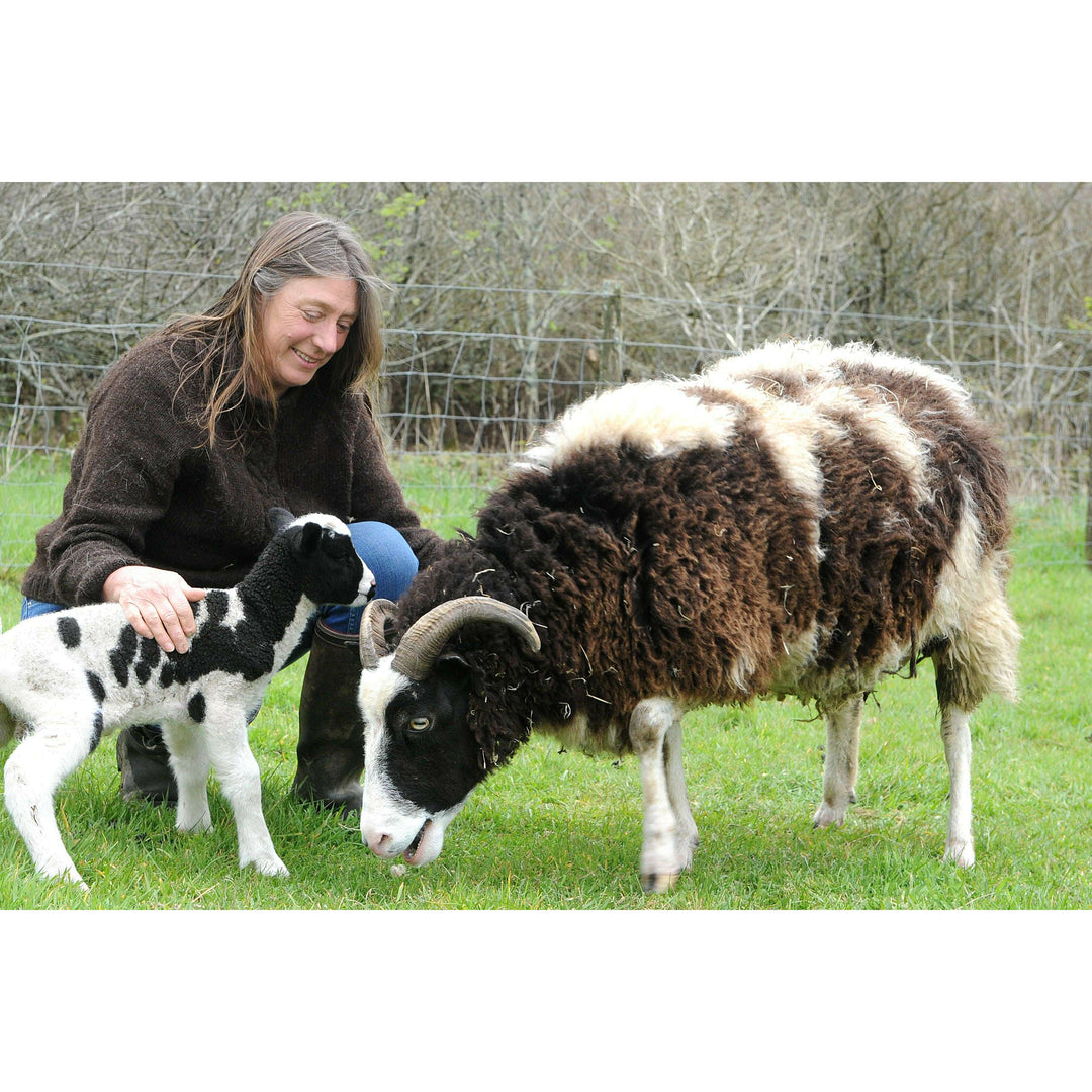 Felting Kit - Jacob Sheep Needle Felt Kit