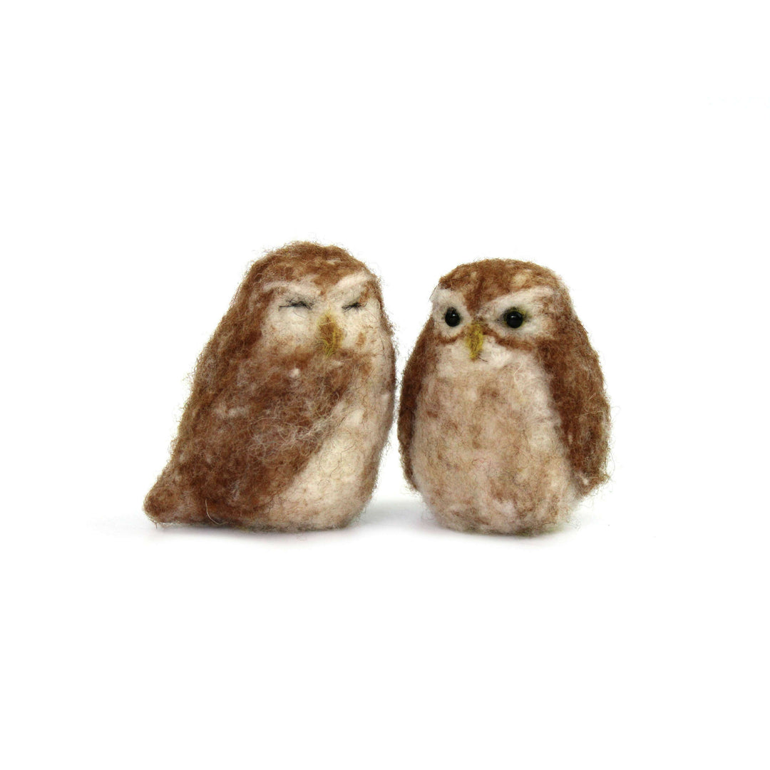 Felting Kit - Little Owl Needle Felt Kit
