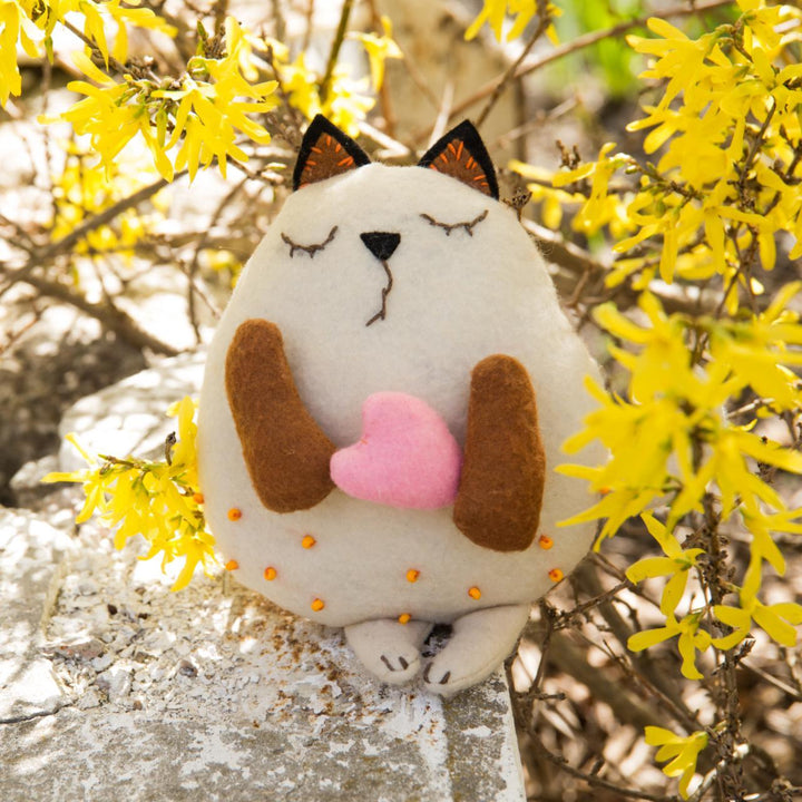 Felting kit  Favourite V-175C