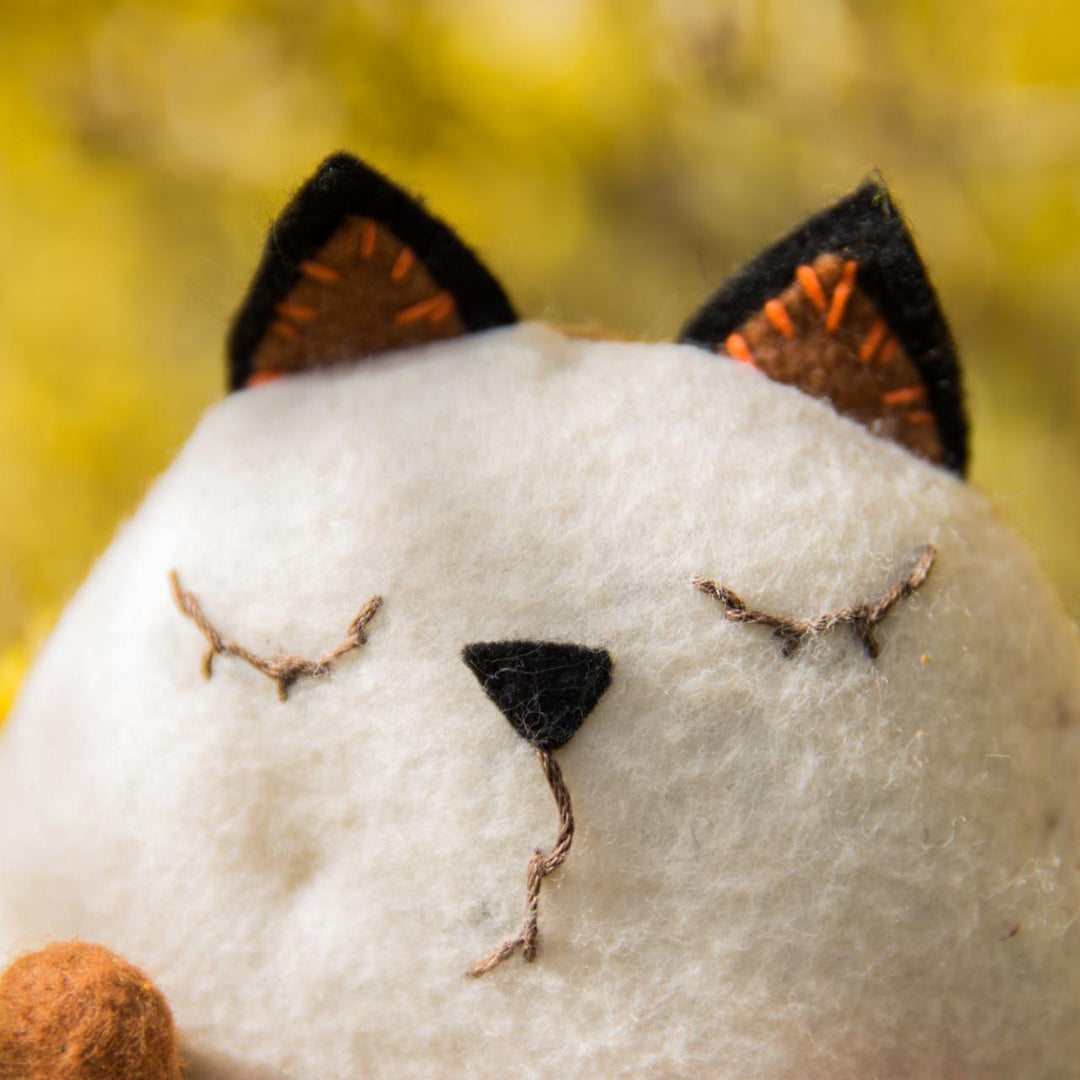 Felting kit  Favourite V-175C