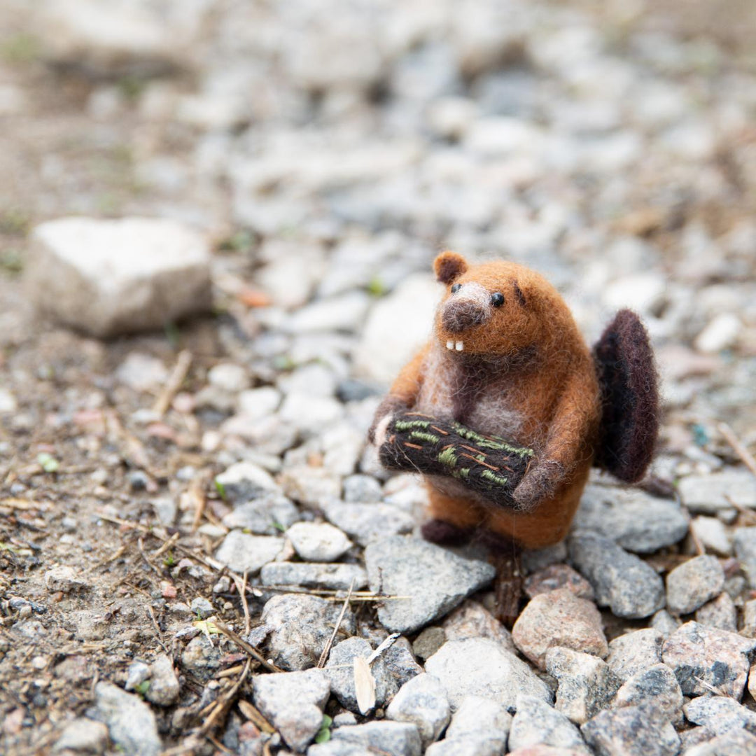 Felting kit Fedor V-130C