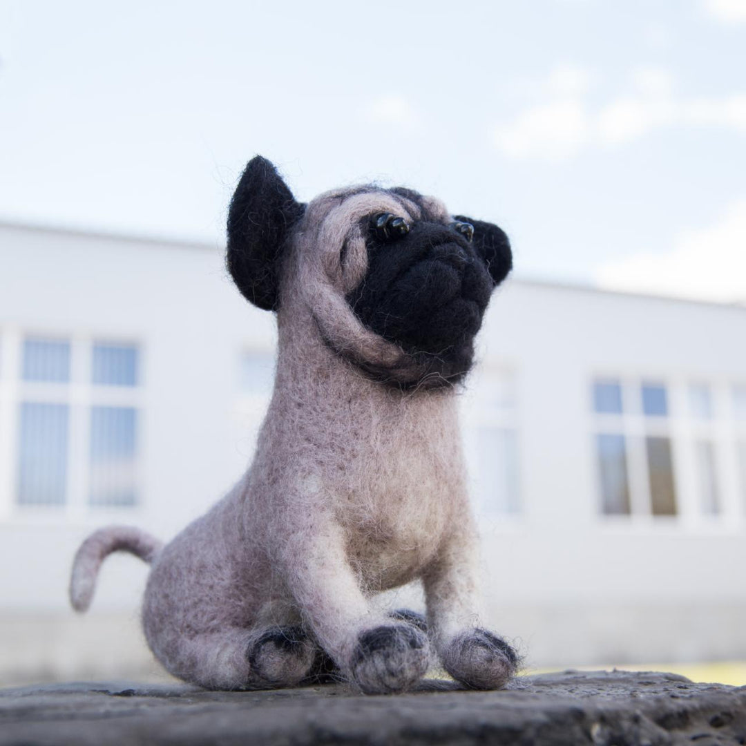 Felting kit Pugdog V-149C