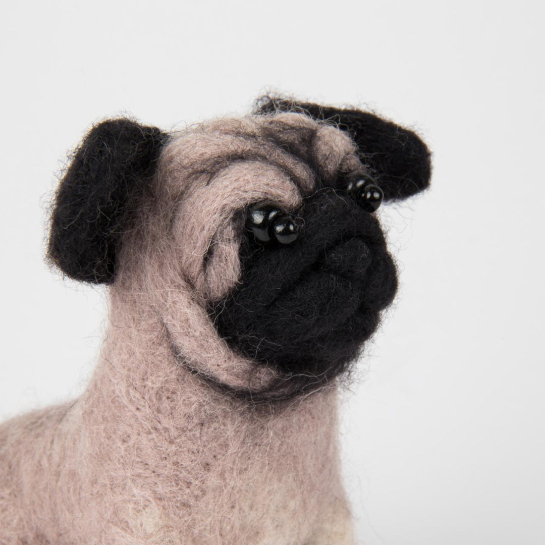 Felting kit Pugdog V-149C