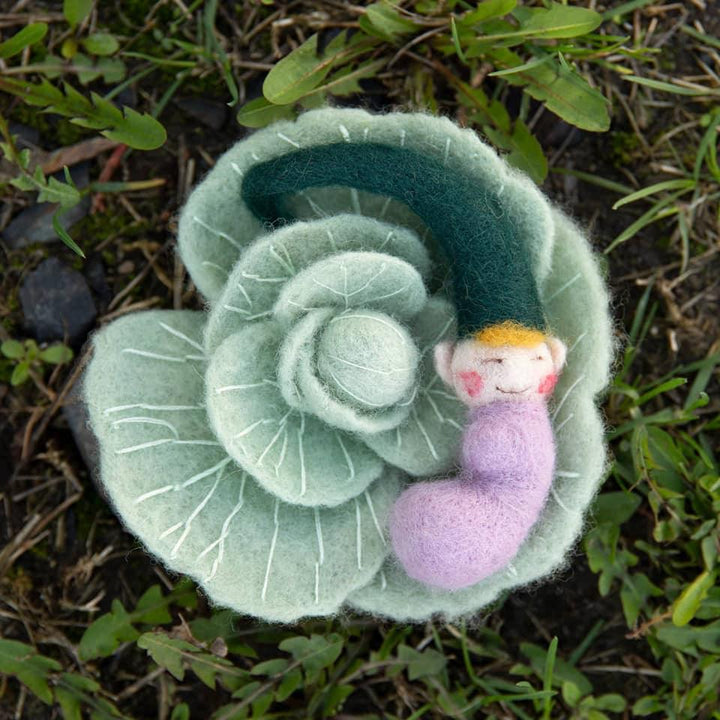 Felting kit V-86C "Beginning of life"
