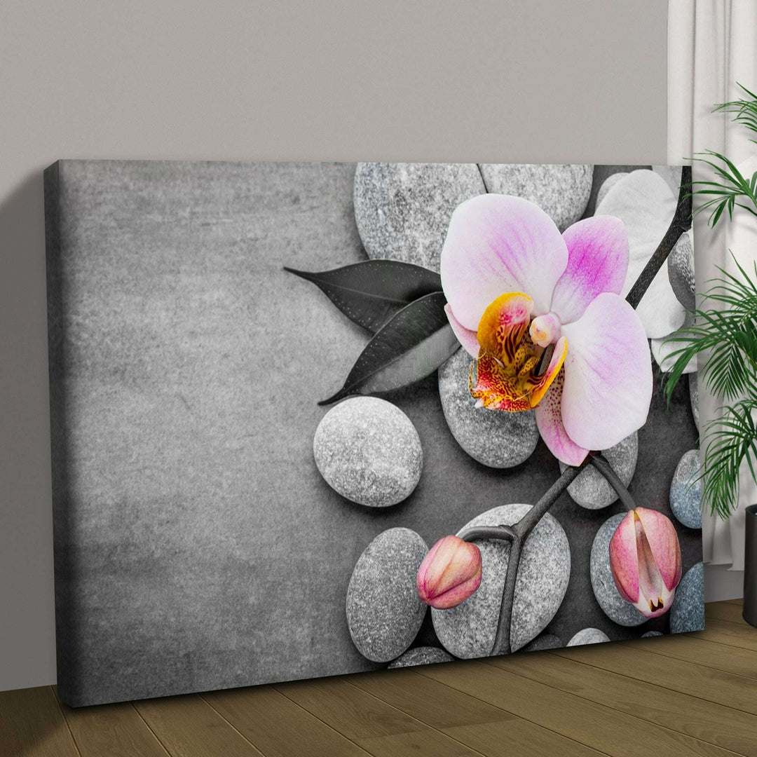 Fresh White Orchid Flower Canvas Wall Art