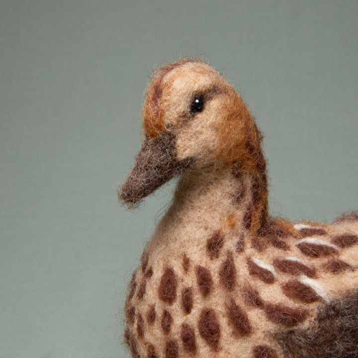 Friendly family V-128C