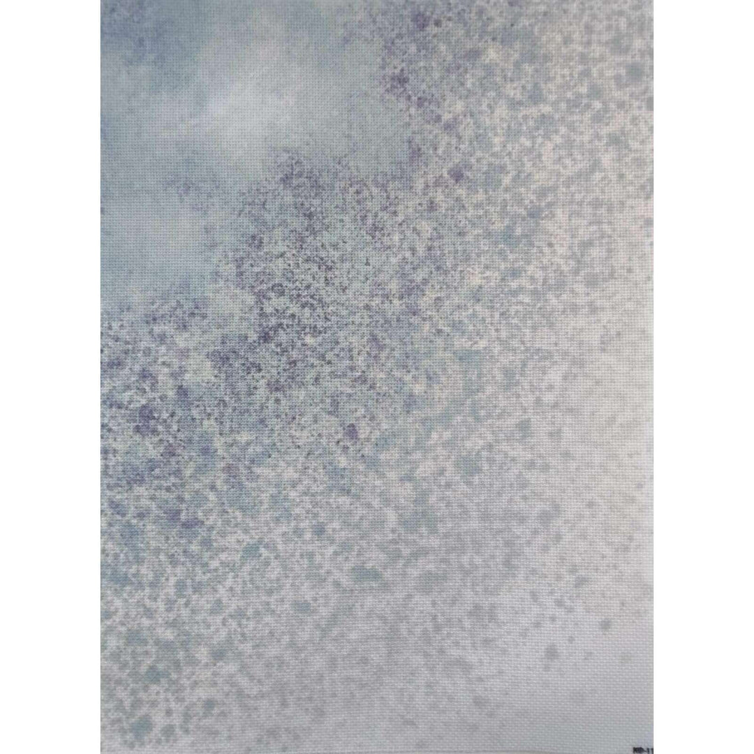 Frozen Mist Designer Printed AIDA Fabric. Canvas for embroidery with an applied background  KF-1190A