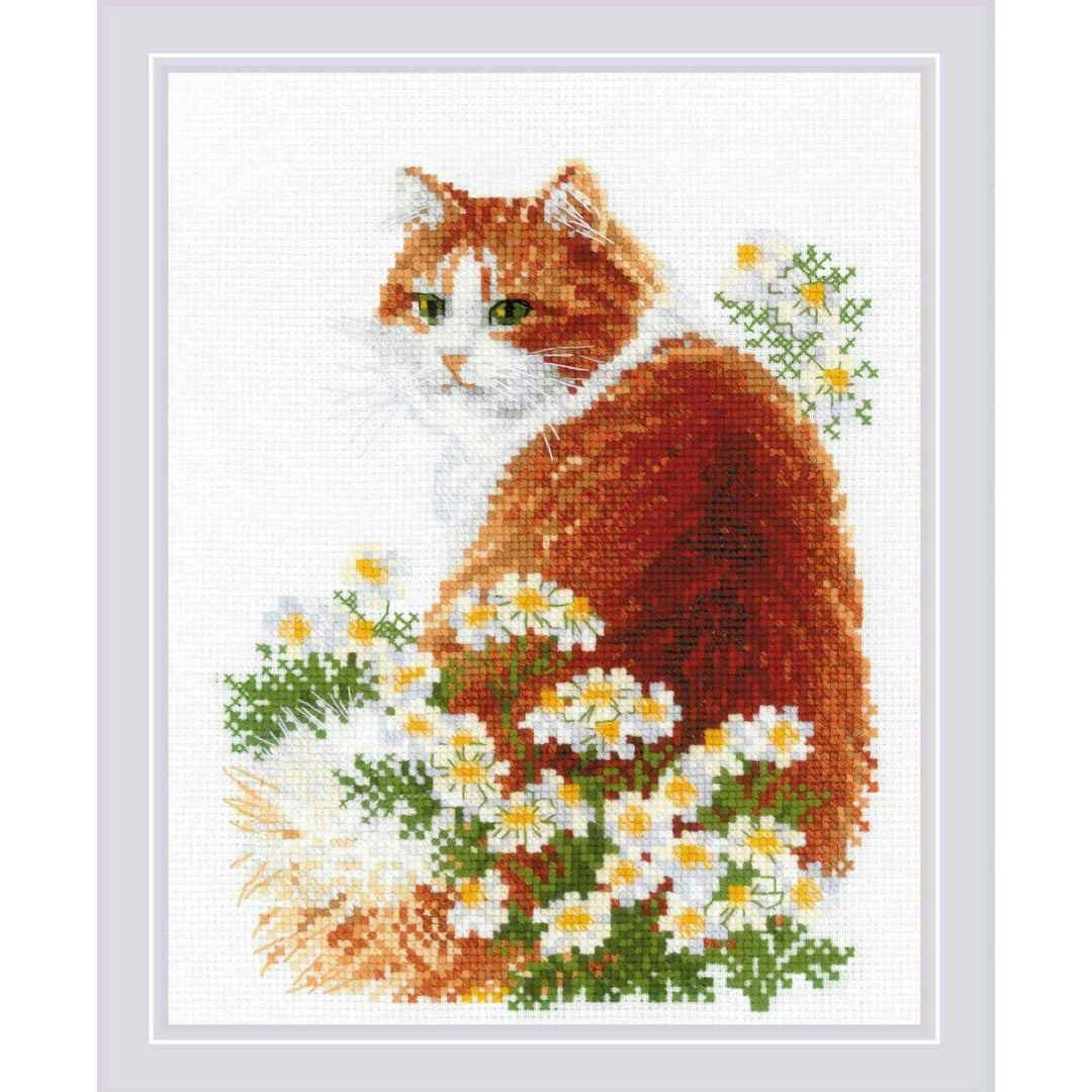 Ginger Meow R2110 Counted Cross Stitch Kit