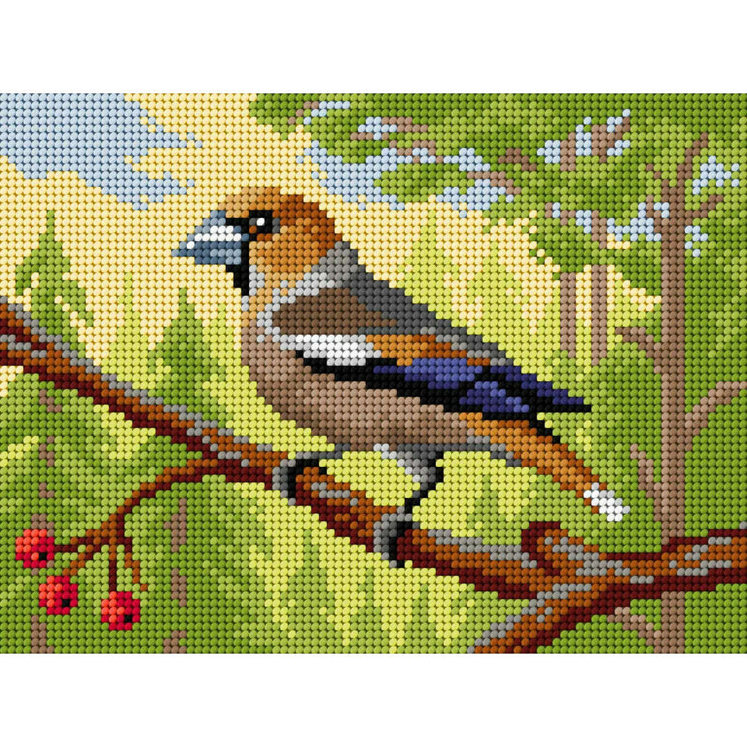 Gobelin canvas for halfstitch without yarn Hawfinch 3498F