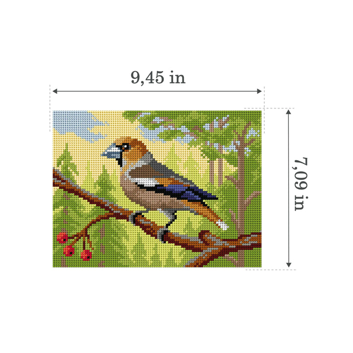 Gobelin canvas for halfstitch without yarn Hawfinch 3498F