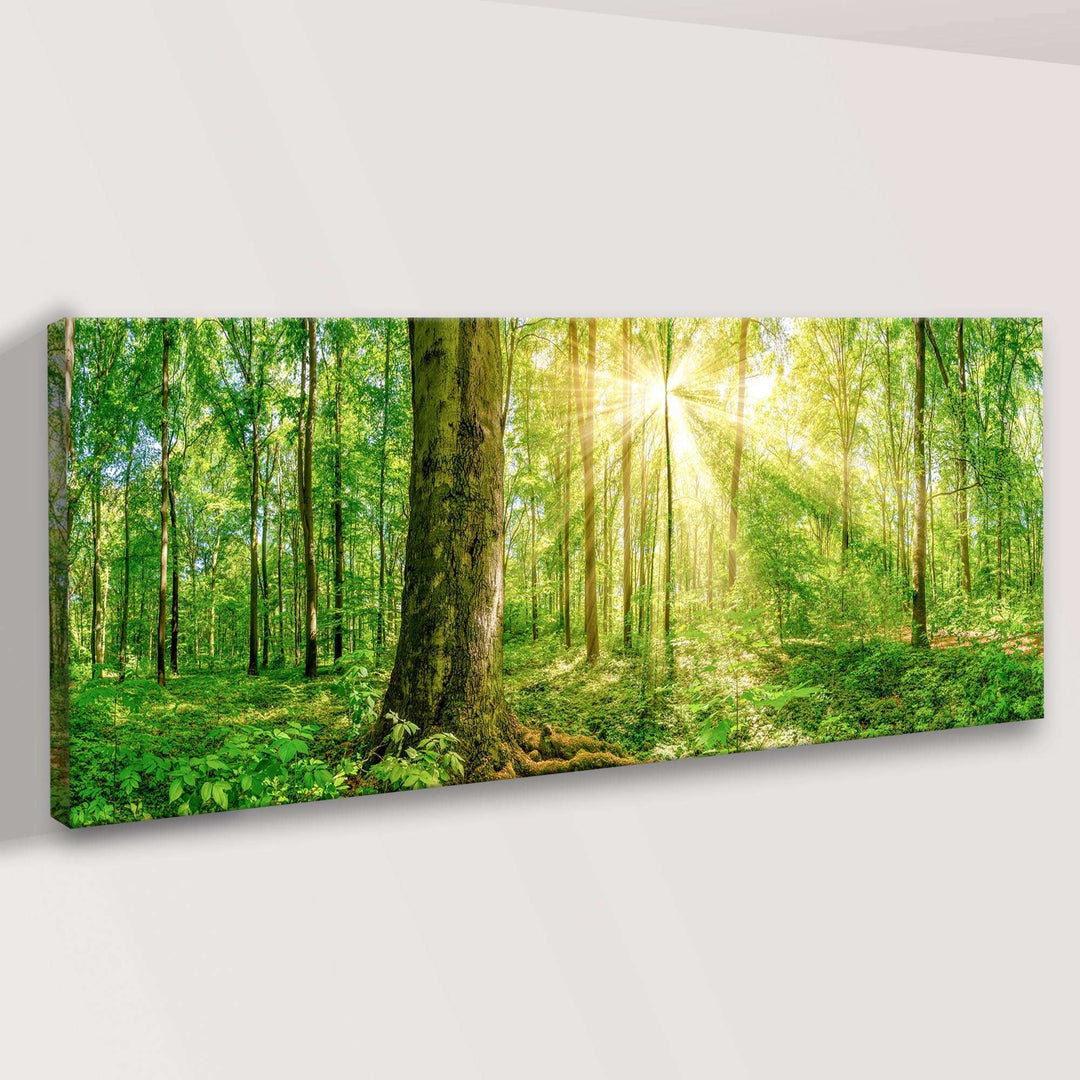 Golden Rays Into The Forest Canvas Wall Art