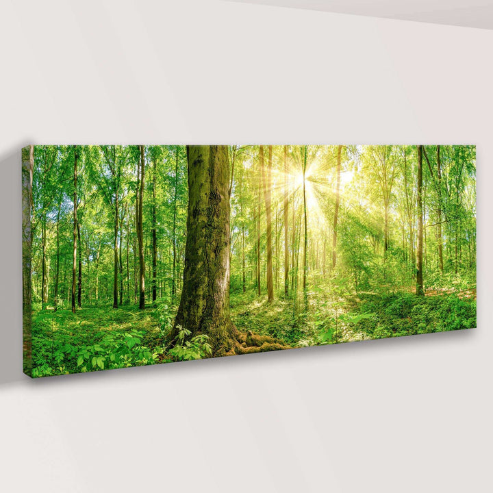 Golden Rays Into The Forest Canvas Wall Art