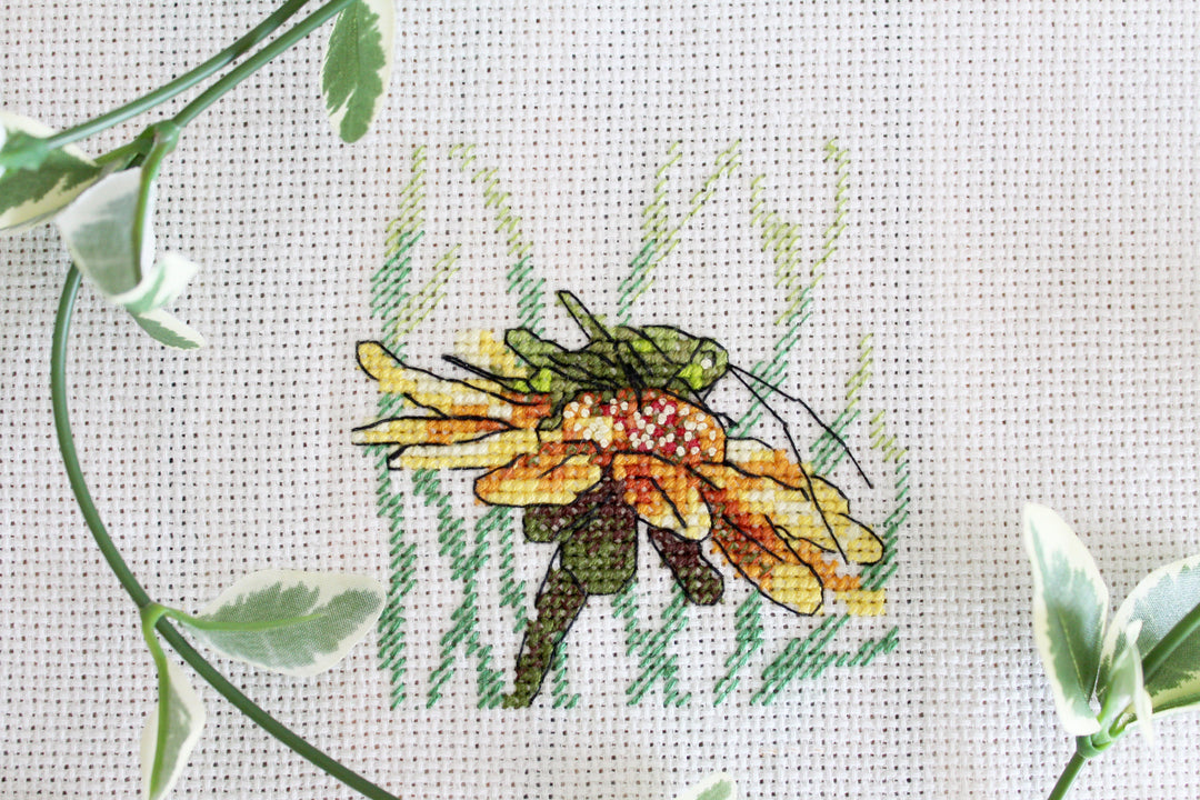 Grasshopper on Coneflower SM-622 Counted Cross Stitch Kit