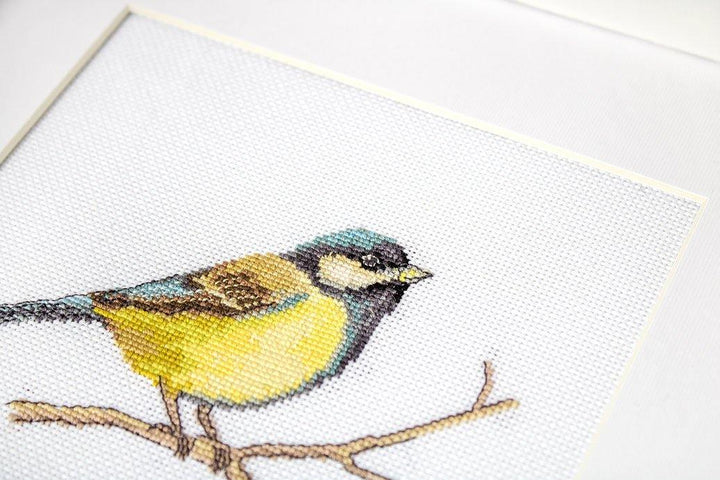 Great tit  B1155L Counted Cross-Stitch Kit