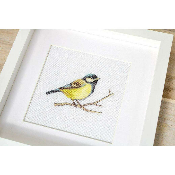 Great tit  B1155L Counted Cross-Stitch Kit