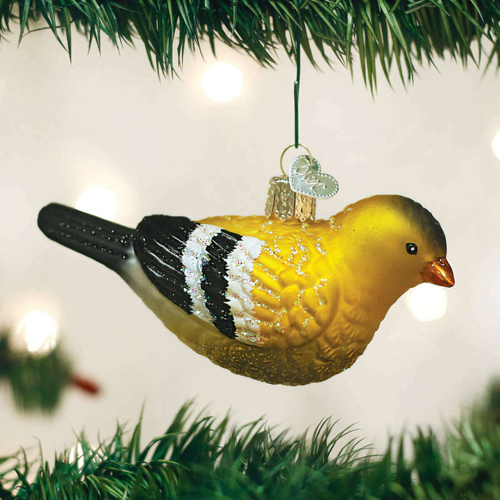 Old World Christmas Hanging American Goldfinch Blown Glass Ornament