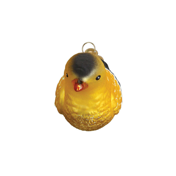Old World Christmas Hanging American Goldfinch Blown Glass Ornament