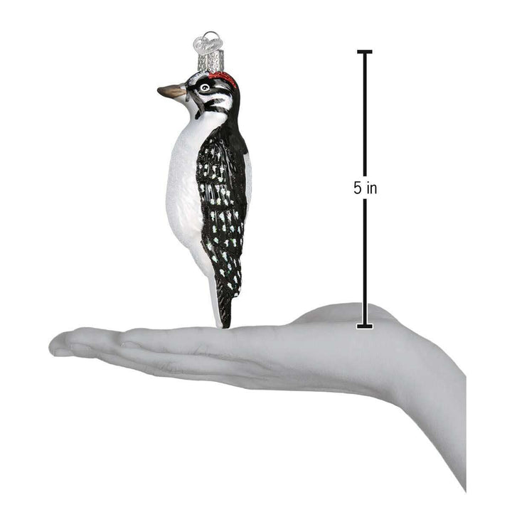 Old World Christmas Hanging Hairy Woodpecker Blown Glass Ornament
