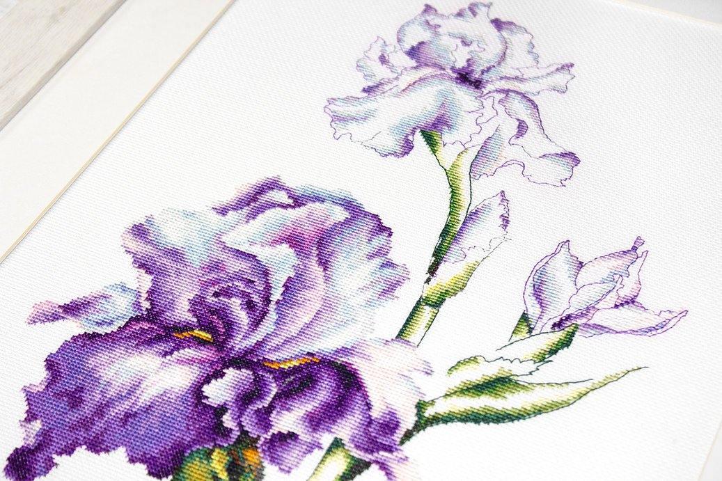 Irises B2251L Counted Cross-Stitch Kit