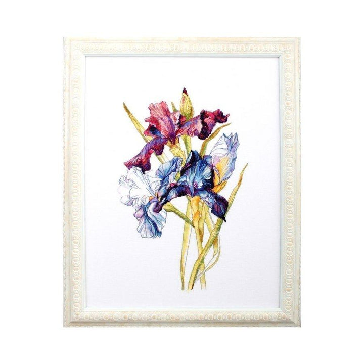 Irises rainbow M580 Counted Cross Stitch Kit
