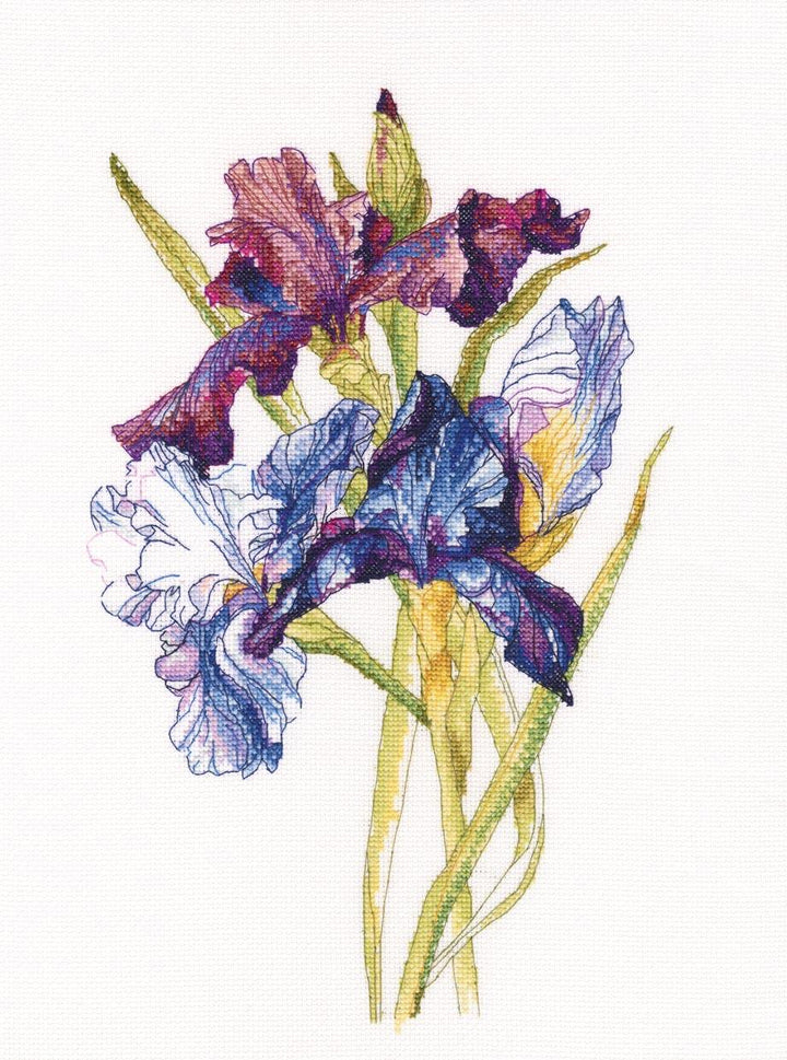 Irises rainbow M580 Counted Cross Stitch Kit
