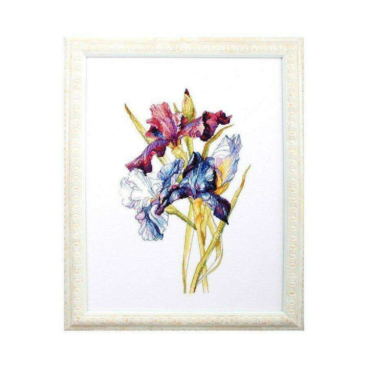 Irises rainbow M580 Counted Cross Stitch Kit