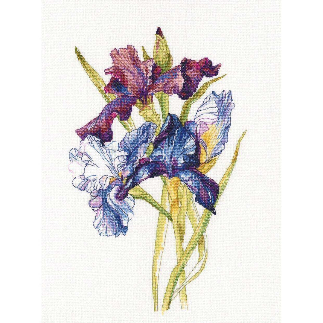 Irises rainbow M580 Counted Cross Stitch Kit
