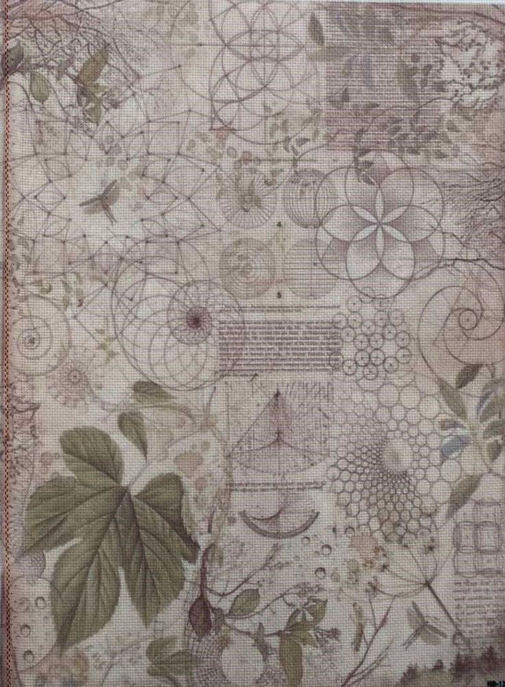 Botanical Relic Designer Printed AIDA Fabric. Canvas for embroidery with an applied background  KF-1263A